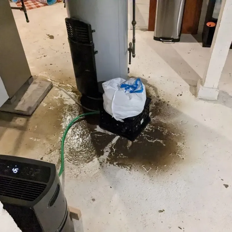 Sewage Backup Cleanup Service in Monroeville, PA